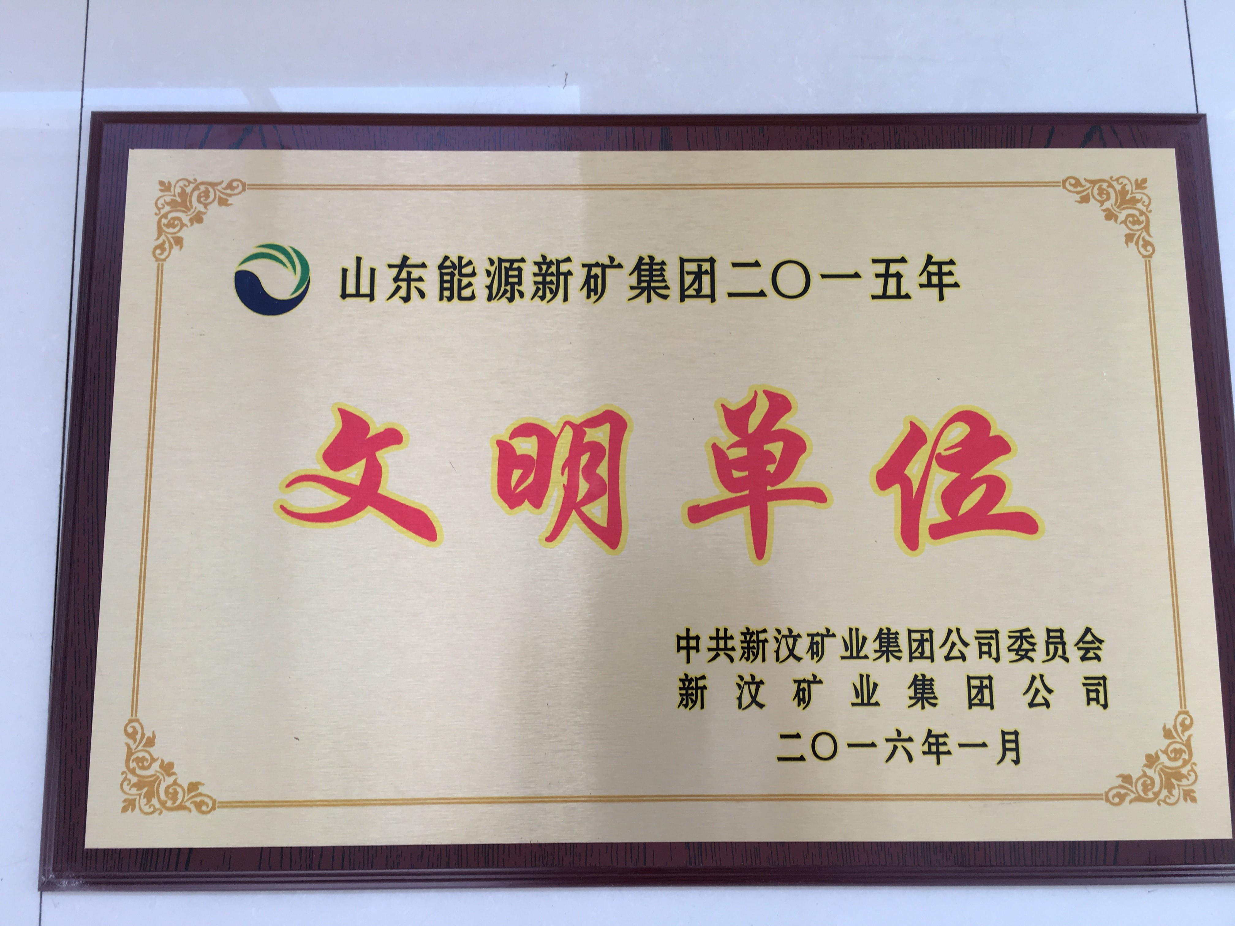 山東能源新礦集團(tuán)2015年度先進(jìn)單位.JPG